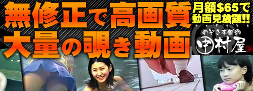 のぞき本舗中村屋